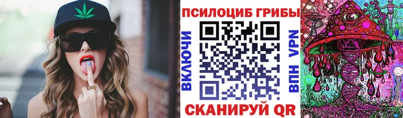 Псилоцибиновые грибы Psilocybe Купить закладки Кукмор